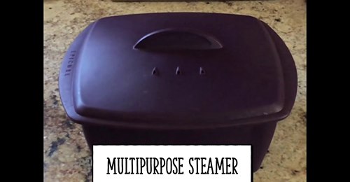 Epicure Multipurpose Steamer